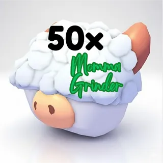 50x ABERDEEN ANGUS BOX