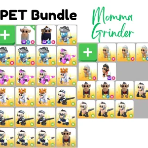PET BUNDLE