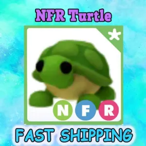 NFR TURTLE