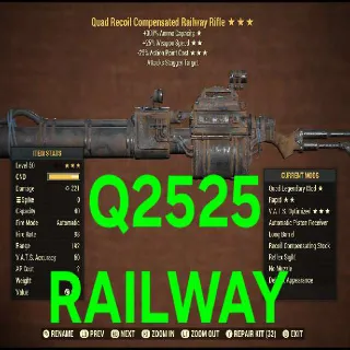 Q2525 RAILWAY RIFLE
