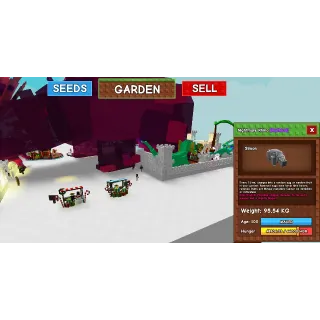 Godly Rhino Nightmare 95 KG - Grow 