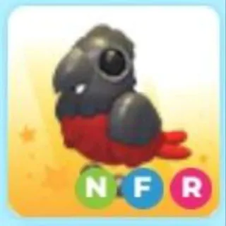 NFR Dracula Parrot