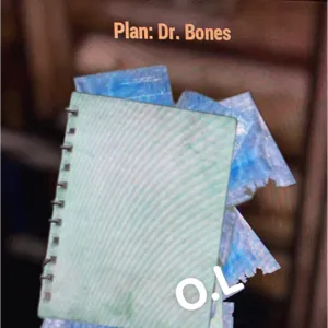 Dr bones plan