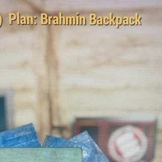 Brahmin backpack plan