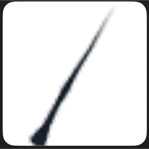 Witches Wand Adopt Me