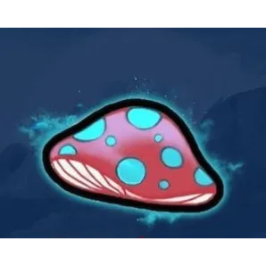 Cos Mushroom 5m Cheapest