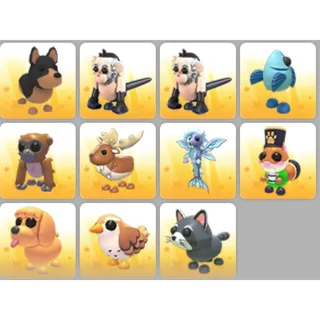 X11 rare pet adopt me 
