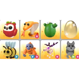 Bundle adopt me pet