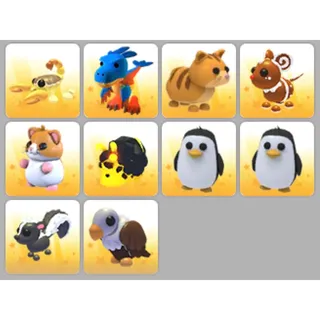 X10 ultra rare pet adopt me 