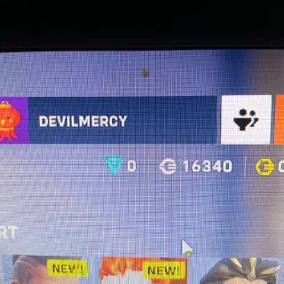 Overwatch 2 16000+ Legacy Points Account