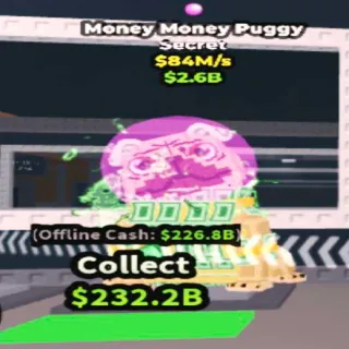 84m Money Money Pug