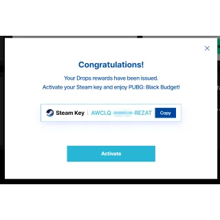  PUBG: Black Budget Steam Key