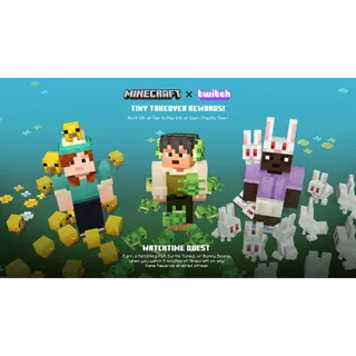 Minecraft Turtle Tunes + Bunny Beanie + Hatchling Hat Key/Code