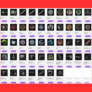 Gray Zone Warfare 28 items Stage 1+2+3  Half Mask  All Twitch Drops