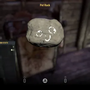 PET ROCK