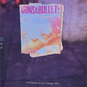 500x guns and bullet 3