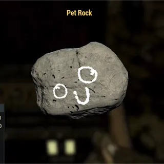 PET ROCK!
