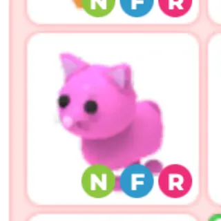 Neon Fly Ride Pink Cat