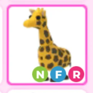 NFR KANGAROO