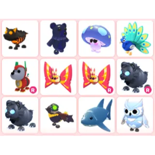 Adopt Me Pets Bundle 12X