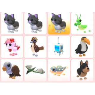 Adopt Me Pets Bundle 12X