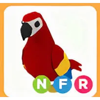 NFR parrot - adopt me