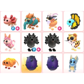 Adopt Me Pets Bundle 12X