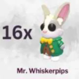 16x Mr. Whiskerpips