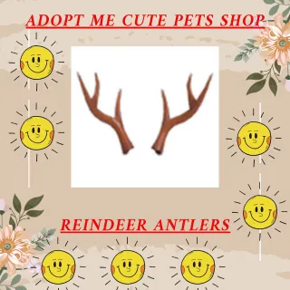 REINDEER ANTLERS