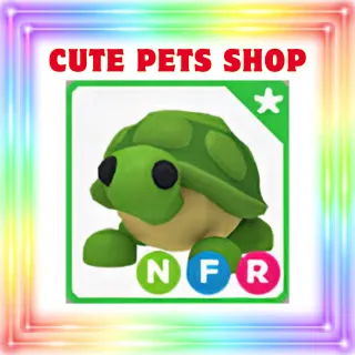 NFR Turtle | Legendary