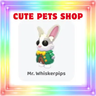 whiskerpips pet