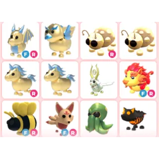 Adopt Me Pets Bundle 12X