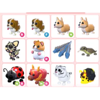 Adopt Me Pets Bundle 12X