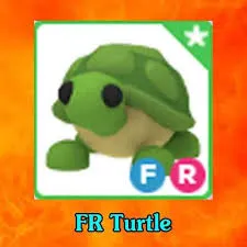 FR turtle