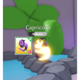 NR Capricorn