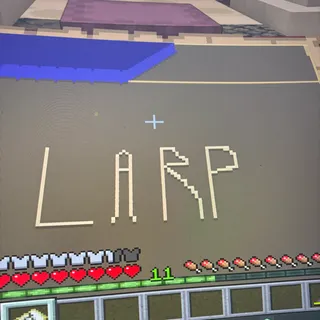 Larp Map donut smp