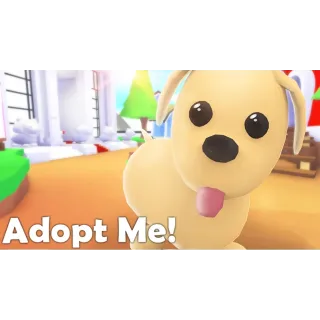 ADOPT ME PETS READ DESCRIPTION 