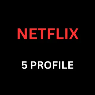 NETFLIX 12 MONTHS