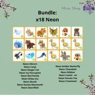 Bundle: x18 Neon