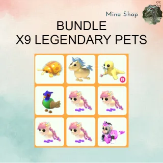 BUNDLE: X9 LEGENDARY PETS