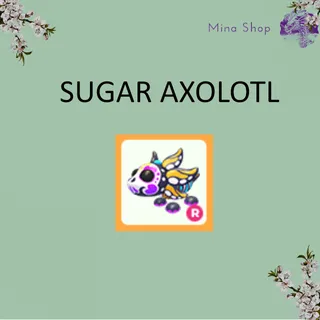 SUGAR AXOLOTL  -R