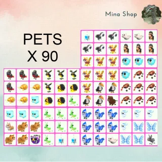 PETS - X 90