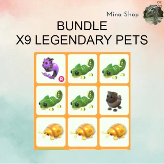 BUNDLE: X9 LEGENDARY PETS