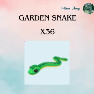 GARDEN SNAKE - X36