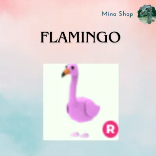 FLAMINGO