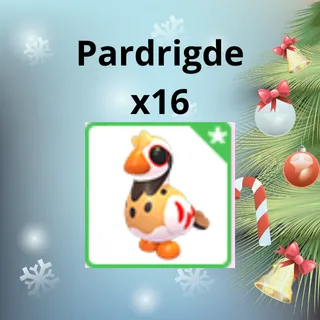 pardrigde - x16