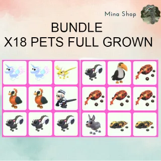 BUNDLE - X18 PETS FULL GROWN