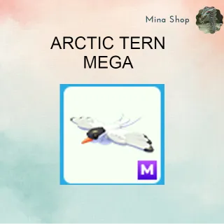 ARCTIC TERN MEGA