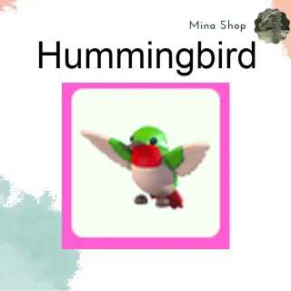 hummingbird