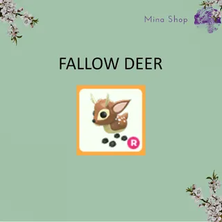 FALLOW DEER -R